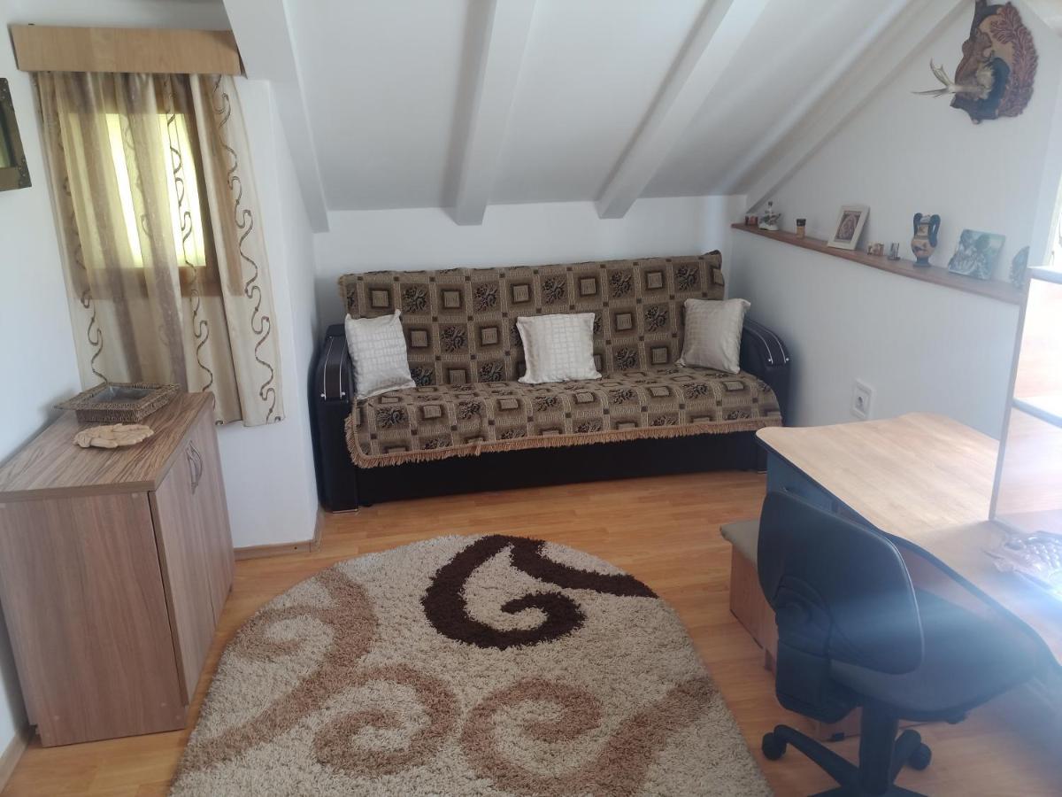 Casa Cristian Villa Câmpulung Moldovenesc Buitenkant foto