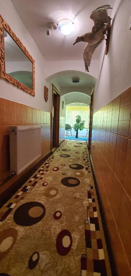 Casa Cristian Villa Câmpulung Moldovenesc Buitenkant foto