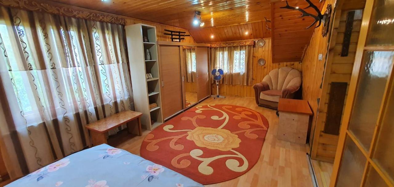 Casa Cristian Villa Câmpulung Moldovenesc Buitenkant foto