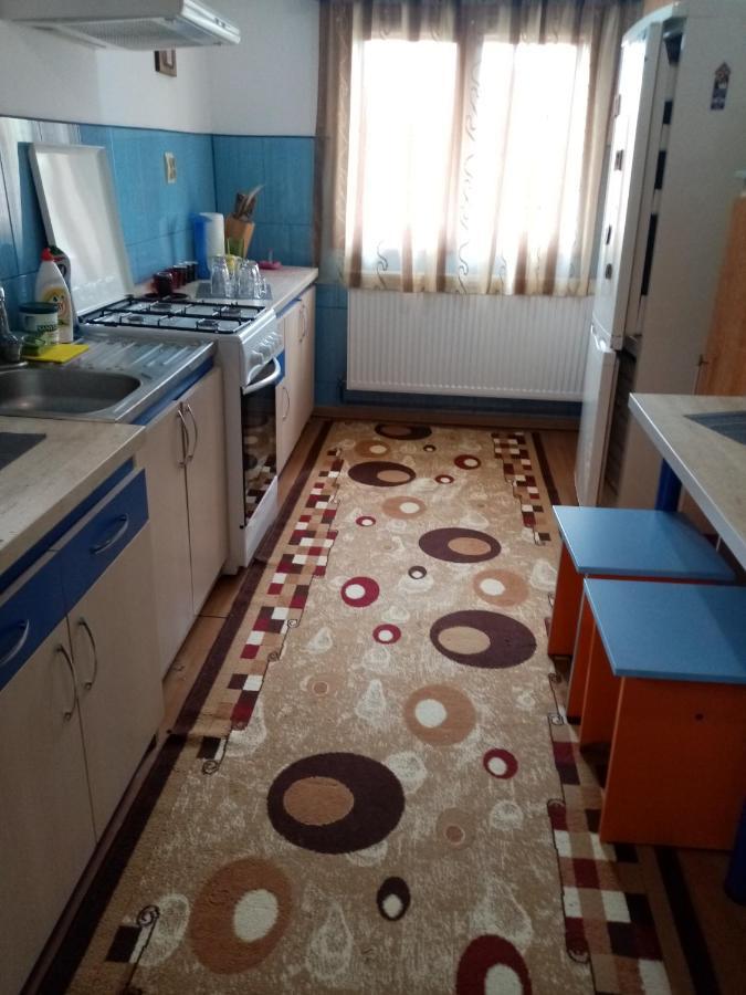 Casa Cristian Villa Câmpulung Moldovenesc Buitenkant foto