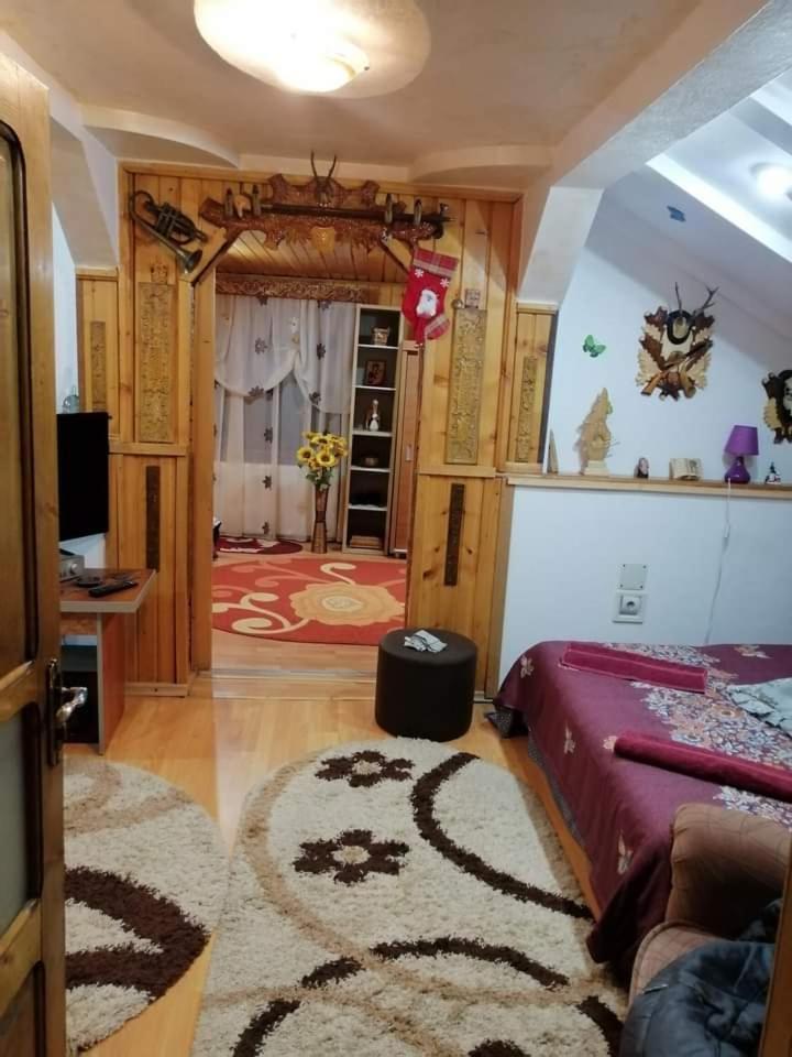Casa Cristian Villa Câmpulung Moldovenesc Buitenkant foto