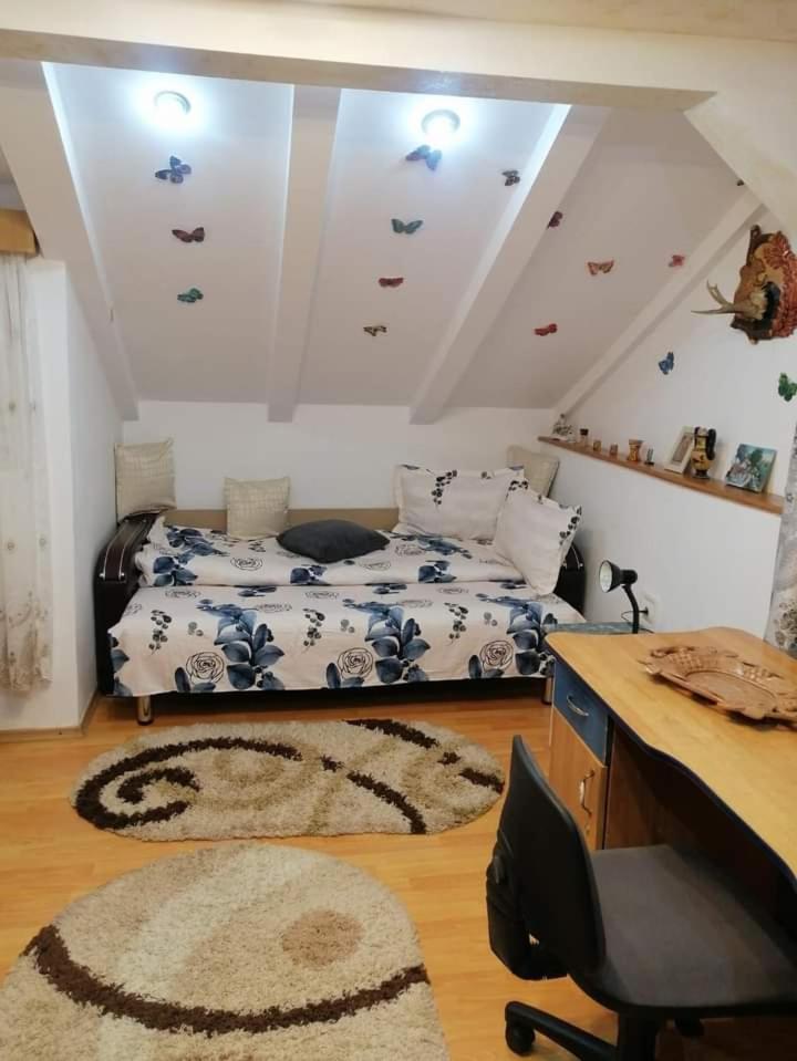 Casa Cristian Villa Câmpulung Moldovenesc Buitenkant foto